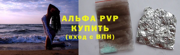 прущие грибы Каменск-Шахтинский