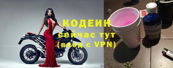 СК Каменногорск