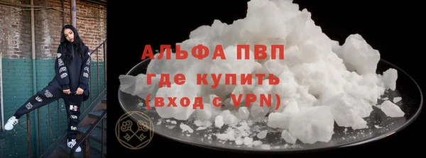 прущие грибы Каменск-Шахтинский