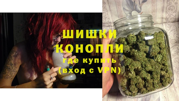 прущие грибы Каменск-Шахтинский